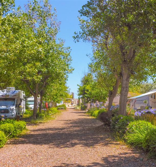 Camping caravanning pitches by the sea - Hire of camping pitches for tents, caravans and motorhomes - 3-star campsite Beauregard Plage in Marseillan Plage in Hérault in Languedoc Roussillon